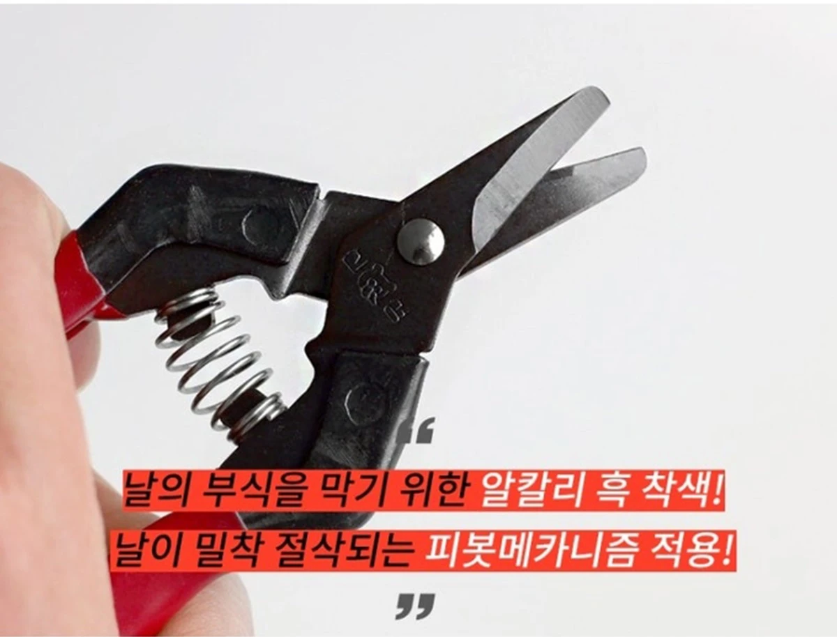 Pruning Shears Branch Garden detail -